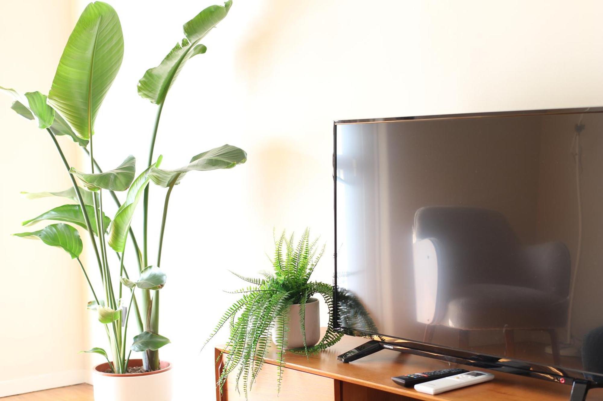 Bamboo Inama * Mailand